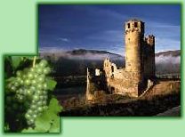 Burg Ehrenfels